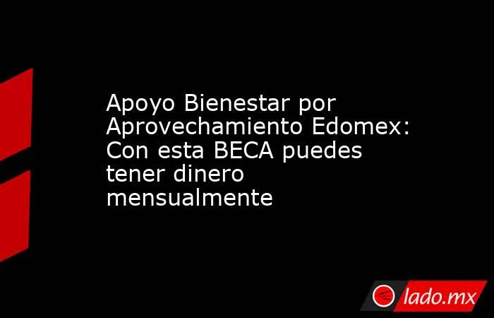 Apoyo Bienestar por Aprovechamiento Edomex: Con esta BECA puedes tener dinero mensualmente. Noticias en tiempo real