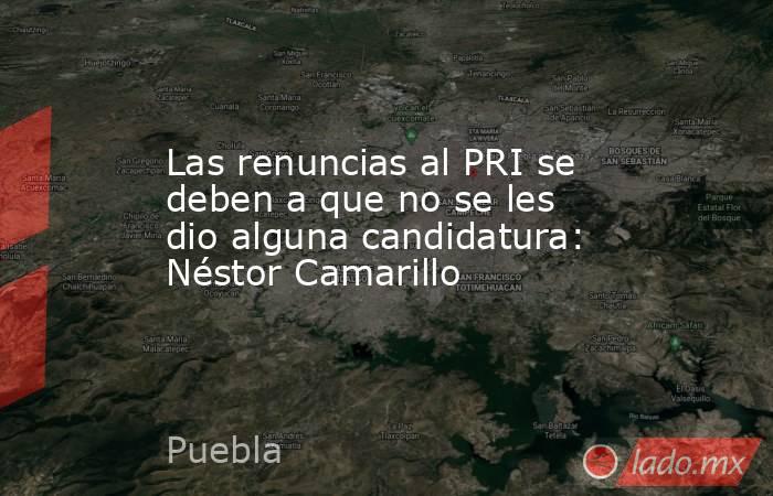 Las renuncias al PRI se deben a que no se les dio alguna candidatura: Néstor Camarillo. Noticias en tiempo real