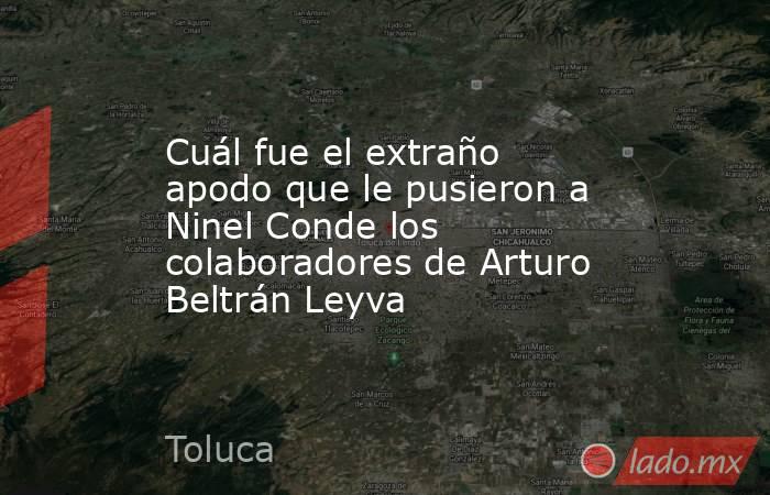 Cuál fue el extraño apodo que le pusieron a Ninel Conde los colaboradores de Arturo Beltrán Leyva. Noticias en tiempo real