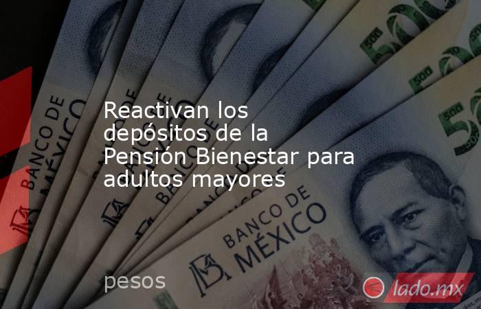 Reactivan los depósitos de la Pensión Bienestar para adultos mayores. Noticias en tiempo real