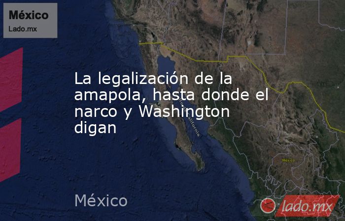 La legalización de la amapola, hasta donde el narco y Washington digan. Noticias en tiempo real