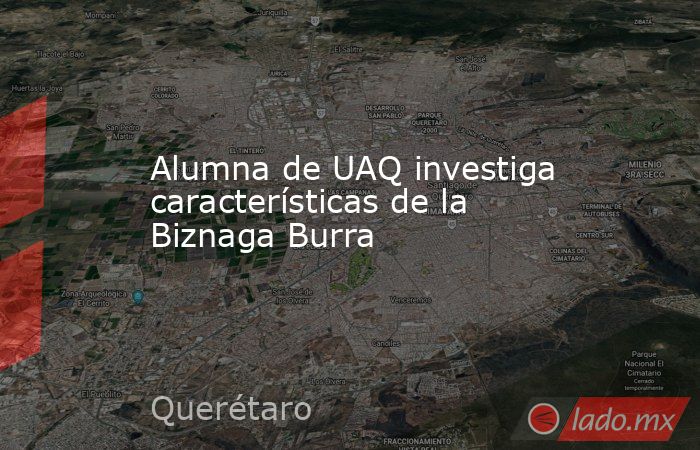 Alumna de UAQ investiga características de la Biznaga Burra. Noticias en tiempo real