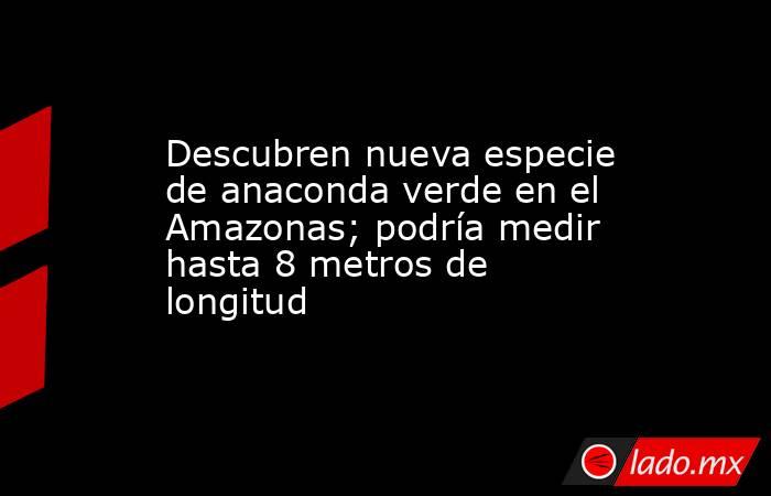 Descubren nueva especie de anaconda verde en el Amazonas; podría medir hasta 8 metros de longitud. Noticias en tiempo real
