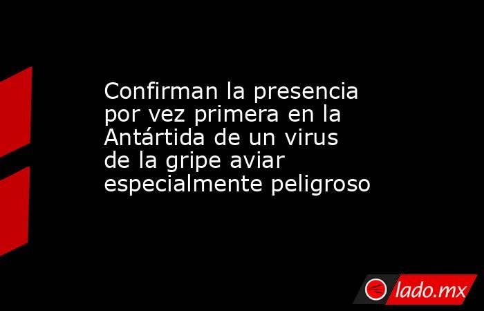 Confirman la presencia por vez primera en la Antártida de un virus de la gripe aviar especialmente peligroso. Noticias en tiempo real