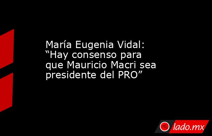 María Eugenia Vidal: “Hay consenso para que Mauricio Macri sea presidente del PRO”. Noticias en tiempo real
