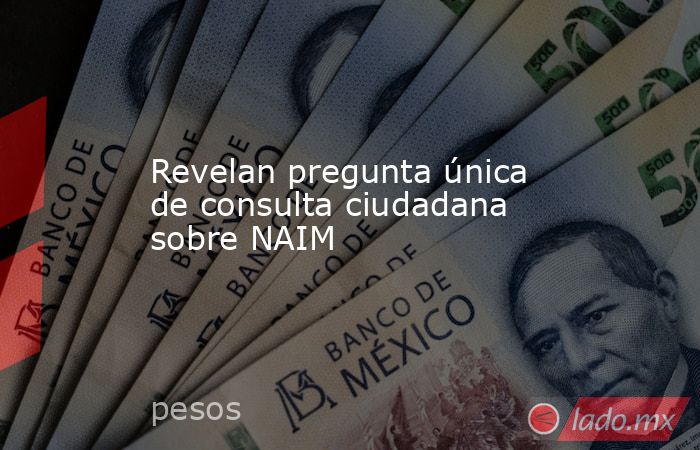 Revelan pregunta única de consulta ciudadana sobre NAIM. Noticias en tiempo real