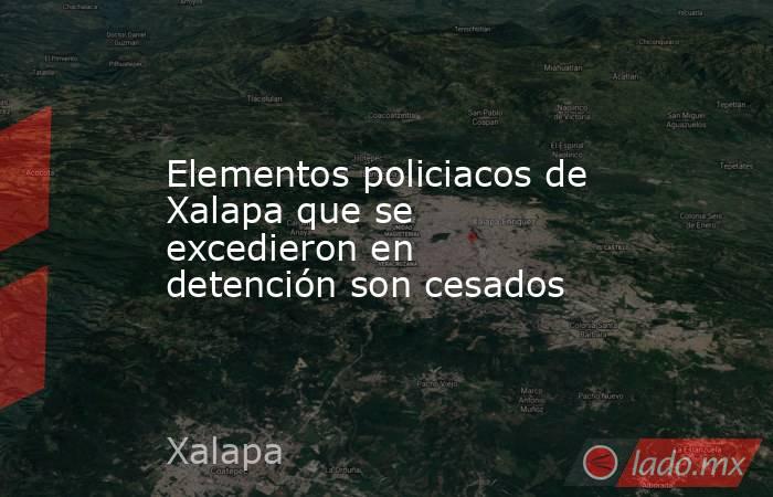 Elementos policiacos de Xalapa que se excedieron en detención son cesados. Noticias en tiempo real