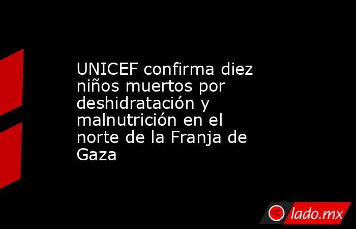 UNICEF confirma diez niños muertos por deshidratación y malnutrición en el norte de la Franja de Gaza. Noticias en tiempo real