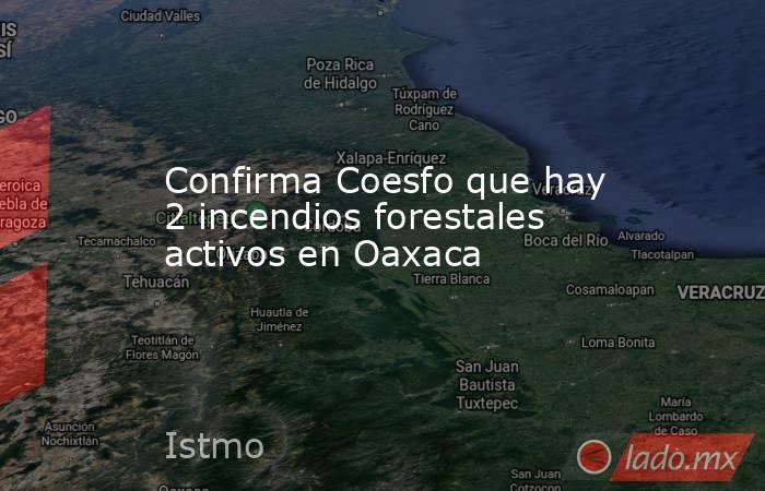 Confirma Coesfo que hay 2 incendios forestales activos en Oaxaca. Noticias en tiempo real