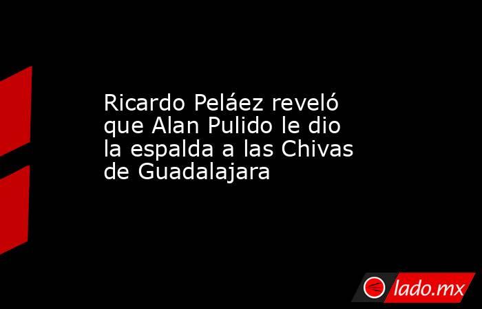 Ricardo Peláez reveló que Alan Pulido le dio la espalda a las Chivas de Guadalajara. Noticias en tiempo real