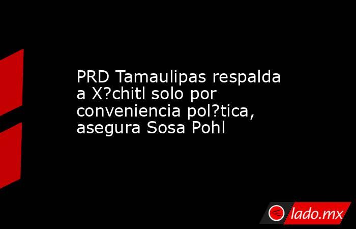 PRD Tamaulipas respalda a X?chitl solo por conveniencia pol?tica, asegura Sosa Pohl. Noticias en tiempo real