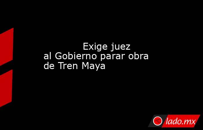             Exige juez al Gobierno parar obra de Tren Maya            . Noticias en tiempo real