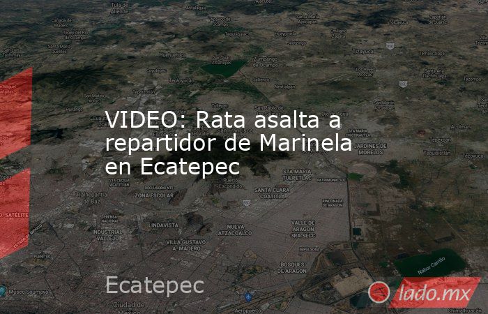 VIDEO: Rata asalta a repartidor de Marinela en Ecatepec. Noticias en tiempo real