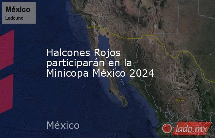 Halcones Rojos participarán en la Minicopa México 2024. Noticias en tiempo real