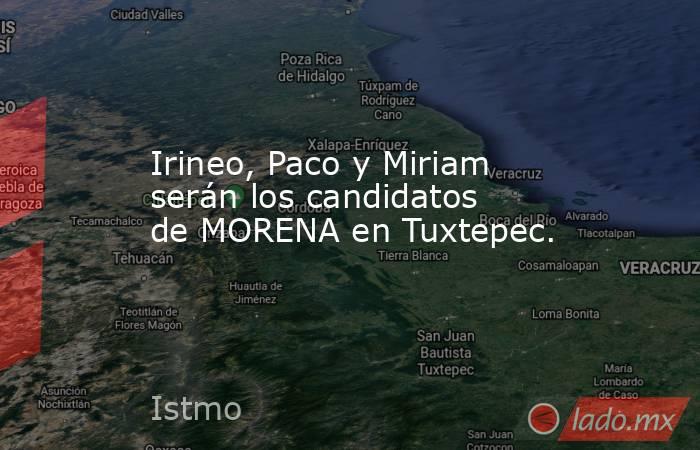 Irineo, Paco y Miriam serán los candidatos de MORENA en Tuxtepec.. Noticias en tiempo real