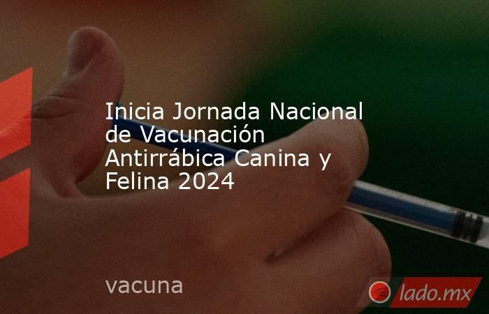 Inicia Jornada Nacional de Vacunación Antirrábica Canina y Felina 2024. Noticias en tiempo real