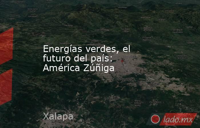 Energías verdes, el futuro del país: América Zúñiga. Noticias en tiempo real