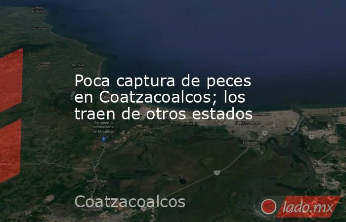 Poca captura de peces en Coatzacoalcos; los traen de otros estados. Noticias en tiempo real