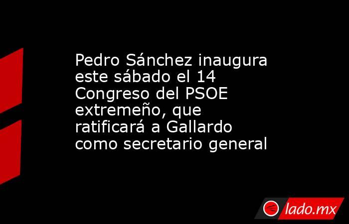 Pedro Sánchez inaugura este sábado el 14 Congreso del PSOE extremeño, que ratificará a Gallardo como secretario general. Noticias en tiempo real