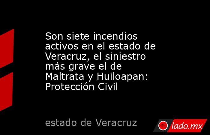 Son siete incendios activos en el estado de Veracruz, el siniestro más grave el de Maltrata y Huiloapan: Protección Civil. Noticias en tiempo real