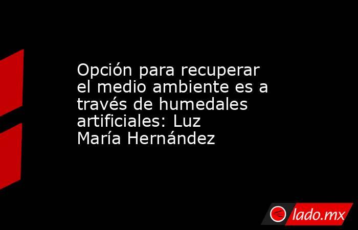 Opción para recuperar el medio ambiente es a través de humedales artificiales: Luz María Hernández. Noticias en tiempo real