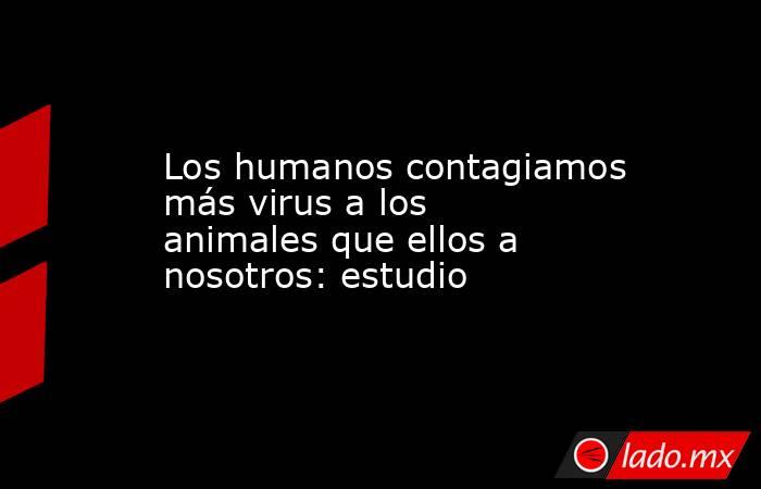 Los humanos contagiamos más virus a los animales que ellos a nosotros: estudio. Noticias en tiempo real