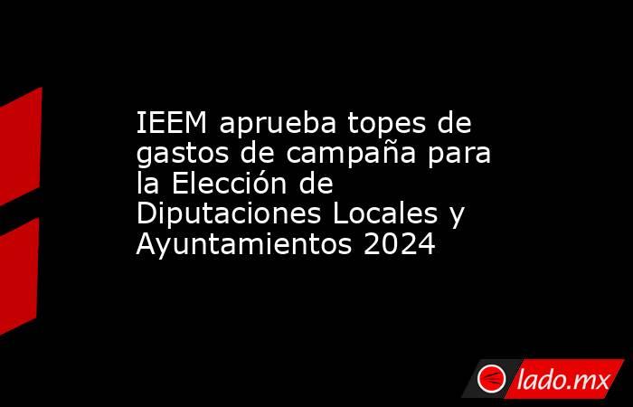 IEEM aprueba topes de gastos de campaña para la Elección de Diputaciones Locales y Ayuntamientos 2024. Noticias en tiempo real