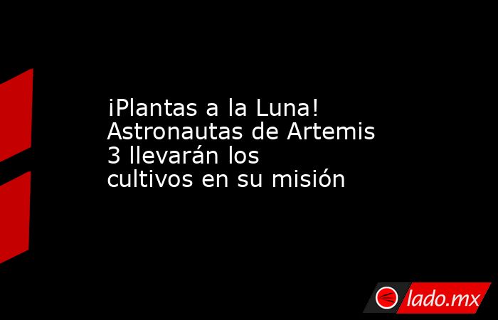 ¡Plantas a la Luna! Astronautas de Artemis 3 llevarán los cultivos en su misión. Noticias en tiempo real