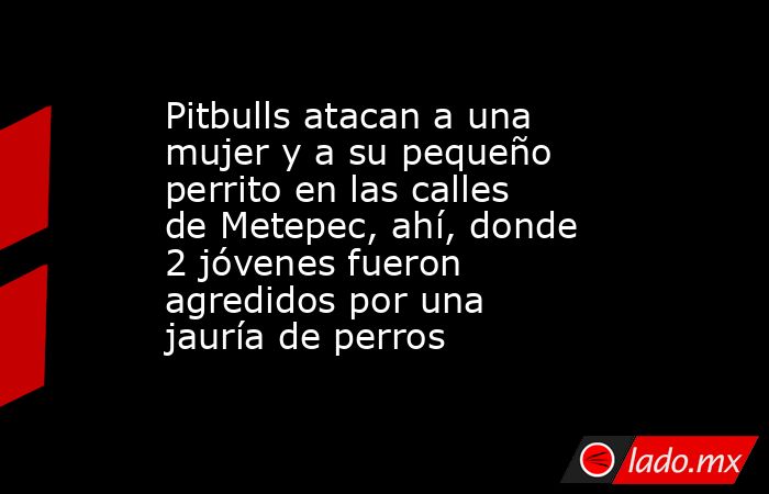 Pitbulls atacan a una mujer y a su pequeño perrito en las calles de Metepec, ahí, donde 2 jóvenes fueron agredidos por una jauría de perros. Noticias en tiempo real