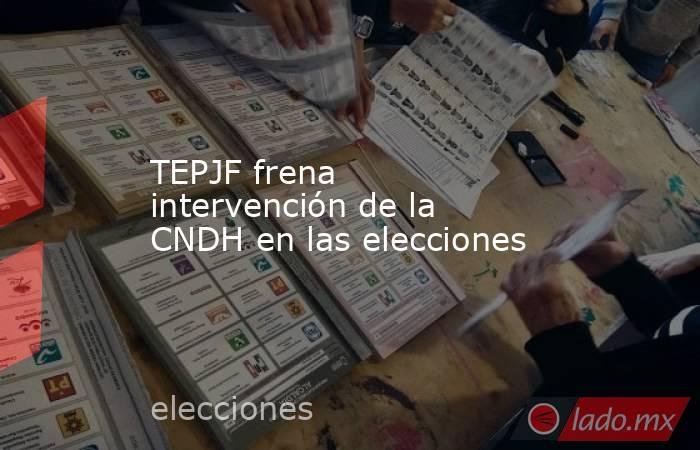 TEPJF frena intervención de la CNDH en las elecciones. Noticias en tiempo real