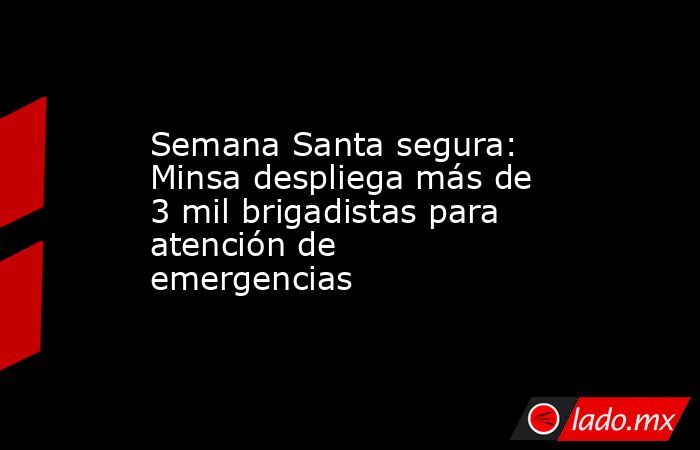 Semana Santa segura: Minsa despliega más de 3 mil brigadistas para atención de emergencias. Noticias en tiempo real