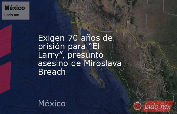 Exigen 70 años de prisión para “El Larry”, presunto asesino de Miroslava Breach. Noticias en tiempo real