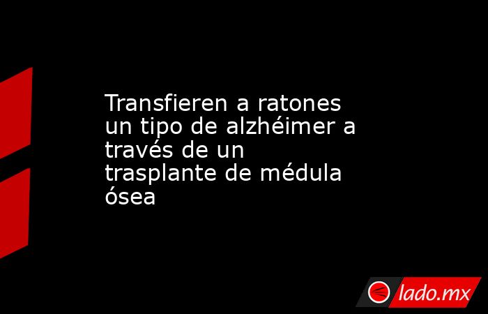 Transfieren a ratones un tipo de alzhéimer a través de un trasplante de médula ósea. Noticias en tiempo real