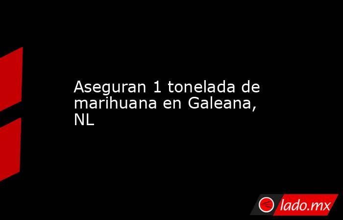 Aseguran 1 tonelada de marihuana en Galeana, NL. Noticias en tiempo real