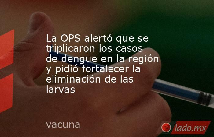 La OPS alertó que se triplicaron los casos de dengue en la región y pidió fortalecer la eliminación de las larvas. Noticias en tiempo real