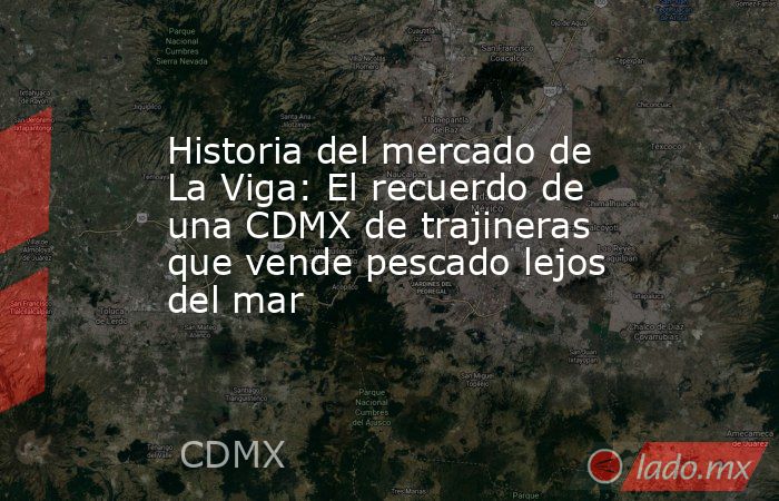 Historia del mercado de La Viga: El recuerdo de una CDMX de trajineras que vende pescado lejos del mar . Noticias en tiempo real