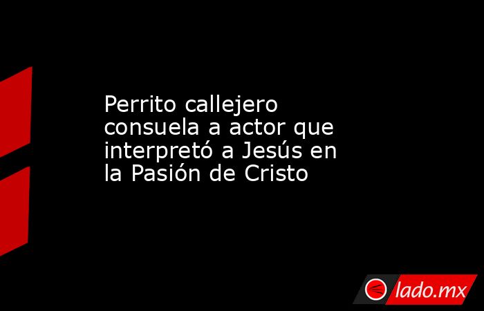 Perrito callejero consuela a actor que interpretó a Jesús en la Pasión de Cristo. Noticias en tiempo real