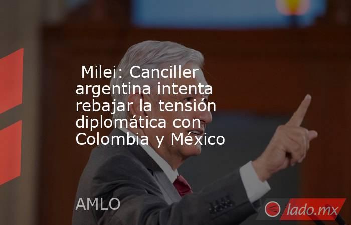  Milei: Canciller argentina intenta rebajar la tensión diplomática con Colombia y México. Noticias en tiempo real