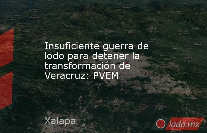 Insuficiente guerra de lodo para detener la transformación de Veracruz: PVEM. Noticias en tiempo real