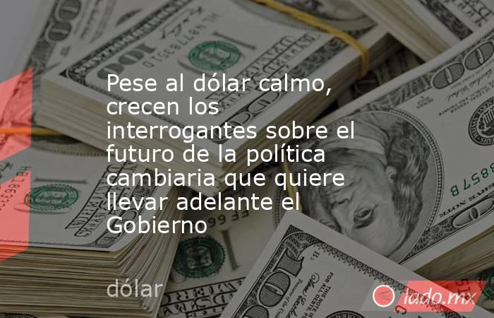 Pese al dólar calmo, crecen los interrogantes sobre el futuro de la política cambiaria que quiere llevar adelante el Gobierno. Noticias en tiempo real