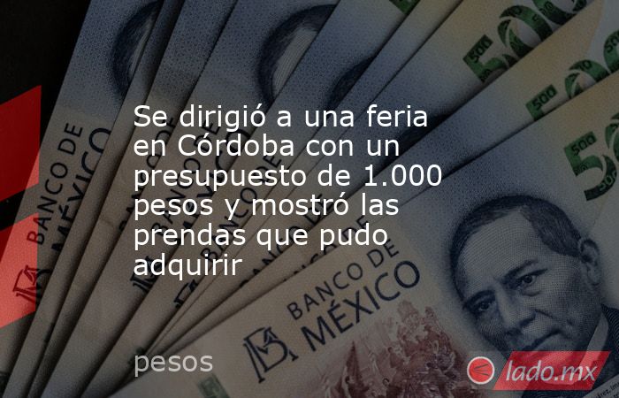 Se dirigió a una feria en Córdoba con un presupuesto de 1.000 pesos y mostró las prendas que pudo adquirir. Noticias en tiempo real
