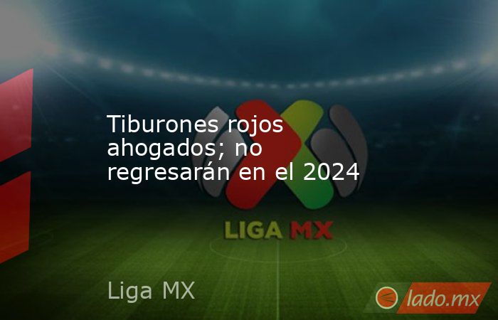 Tiburones rojos ahogados; no regresarán en el 2024. Noticias en tiempo real