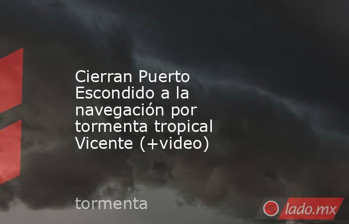 Cierran Puerto Escondido a la navegación por tormenta tropical Vicente (+video). Noticias en tiempo real