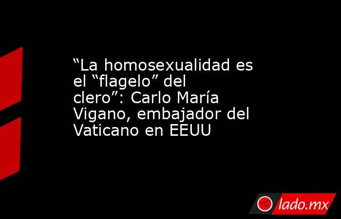 “La homosexualidad es el “flagelo” del clero”: Carlo María Vigano, embajador del Vaticano en EEUU. Noticias en tiempo real