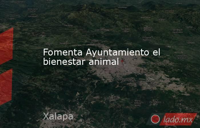 Fomenta Ayuntamiento el bienestar animal. Noticias en tiempo real