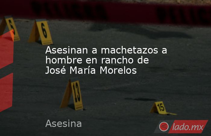 Asesinan a machetazos a hombre en rancho de José María Morelos. Noticias en tiempo real