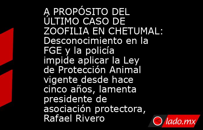 A PROPÓSITO DEL ÚLTIMO CASO DE ZOOFILIA EN CHETUMAL: Desconocimiento en la FGE y la policía impide aplicar la Ley de Protección Animal vigente desde hace cinco años, lamenta presidente de asociación protectora, Rafael Rivero. Noticias en tiempo real