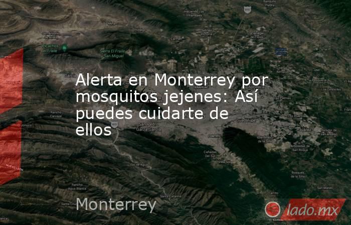 Alerta en Monterrey por mosquitos jejenes: Así puedes cuidarte de ellos. Noticias en tiempo real