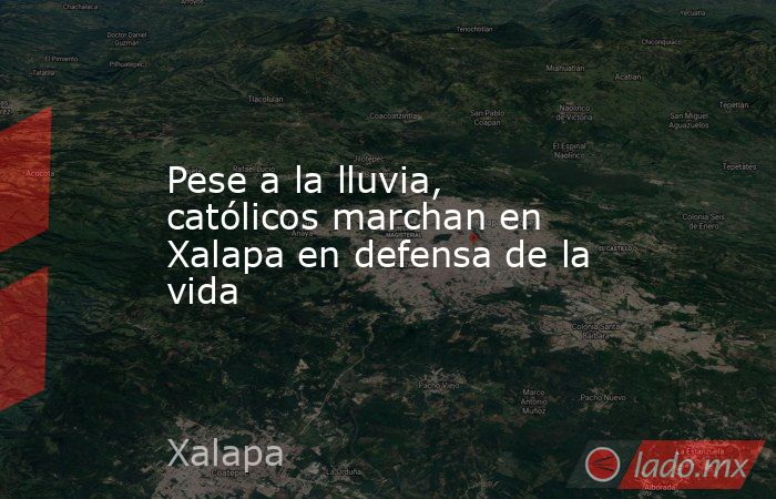 Pese a la lluvia, católicos marchan en Xalapa en defensa de la vida. Noticias en tiempo real