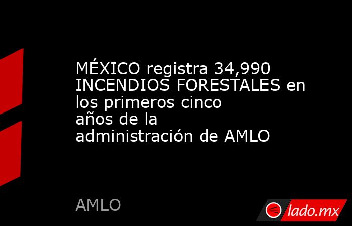 MÉXICO registra 34,990 INCENDIOS FORESTALES en los primeros cinco años de la administración de AMLO. Noticias en tiempo real